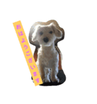 犬のポッキー（個別スタンプ：3）