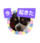 よんとも（個別スタンプ：2）
