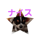 よんとも（個別スタンプ：4）