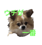 よんとも（個別スタンプ：6）