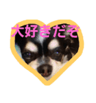 よんとも（個別スタンプ：9）