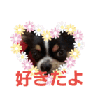 よんとも（個別スタンプ：10）