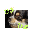 よんとも（個別スタンプ：12）