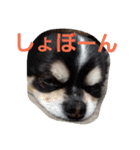 よんとも（個別スタンプ：18）