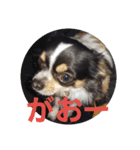 よんとも（個別スタンプ：19）