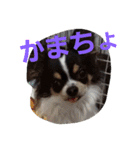 よんとも（個別スタンプ：23）