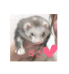 ふぇれはむず（個別スタンプ：7）