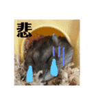 ふぇれはむず（個別スタンプ：16）