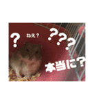 ふぇれはむず（個別スタンプ：18）