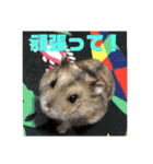 ふぇれはむず（個別スタンプ：19）