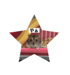 ふぇれはむず（個別スタンプ：21）