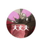 ふぇれはむず（個別スタンプ：22）