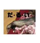 ふぇれはむず（個別スタンプ：32）