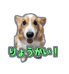 ちびまるのスタンプ パート2（個別スタンプ：8）