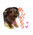 マロンとトム（個別スタンプ：2）