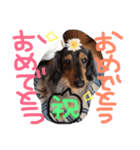 マロンとトム（個別スタンプ：4）
