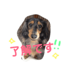 マロンとトム（個別スタンプ：8）