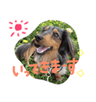 マロンとトム（個別スタンプ：9）
