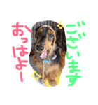 マロンとトム（個別スタンプ：14）