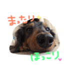 マロンとトム（個別スタンプ：17）