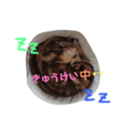 マロンとトム（個別スタンプ：23）