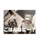 我が家の、自己満スタンプ。（個別スタンプ：4）