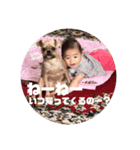 我が家の、自己満スタンプ。（個別スタンプ：7）