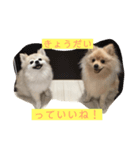 はーこと優人の日常（個別スタンプ：5）