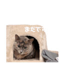 ゆきの個人的なスタンプ3（個別スタンプ：5）
