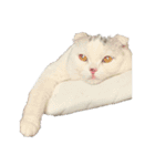 垂れ耳ねこのグリコくん（個別スタンプ：2）