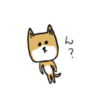 無愛想な柴犬（個別スタンプ：1）