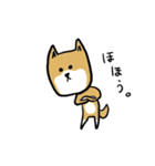 無愛想な柴犬（個別スタンプ：3）