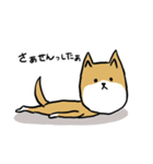 無愛想な柴犬（個別スタンプ：7）