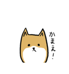 無愛想な柴犬（個別スタンプ：8）