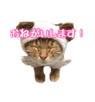 ma.moon.luke.yu 1（個別スタンプ：2）