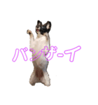 音と楽⑥(音only)（個別スタンプ：2）