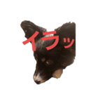 音と楽⑥(音only)（個別スタンプ：3）