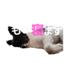 音と楽⑥(音only)（個別スタンプ：8）