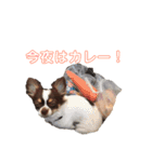 るーのスタンプ♡（個別スタンプ：10）