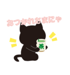 まっくろクロネコ3（個別スタンプ：1）