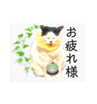 気ままな猫達とお花（個別スタンプ：5）