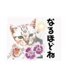 気ままな猫達とお花（個別スタンプ：6）