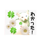 気ままな猫達とお花（個別スタンプ：7）