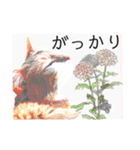 気ままな猫達とお花（個別スタンプ：15）