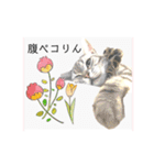 気ままな猫達とお花（個別スタンプ：16）