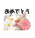 気ままな猫達とお花（個別スタンプ：18）