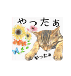 気ままな猫達とお花（個別スタンプ：22）