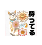 気ままな猫達とお花（個別スタンプ：24）