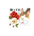 気ままな猫達とお花（個別スタンプ：27）