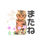 気ままな猫達とお花（個別スタンプ：30）